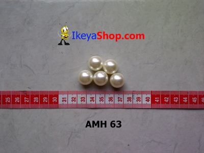 AMH 63  large2